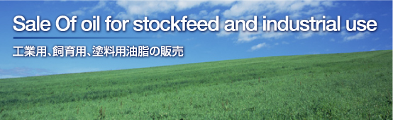 工業用、飼育用、塗料用油脂の販売