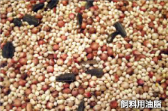 飼料用油脂